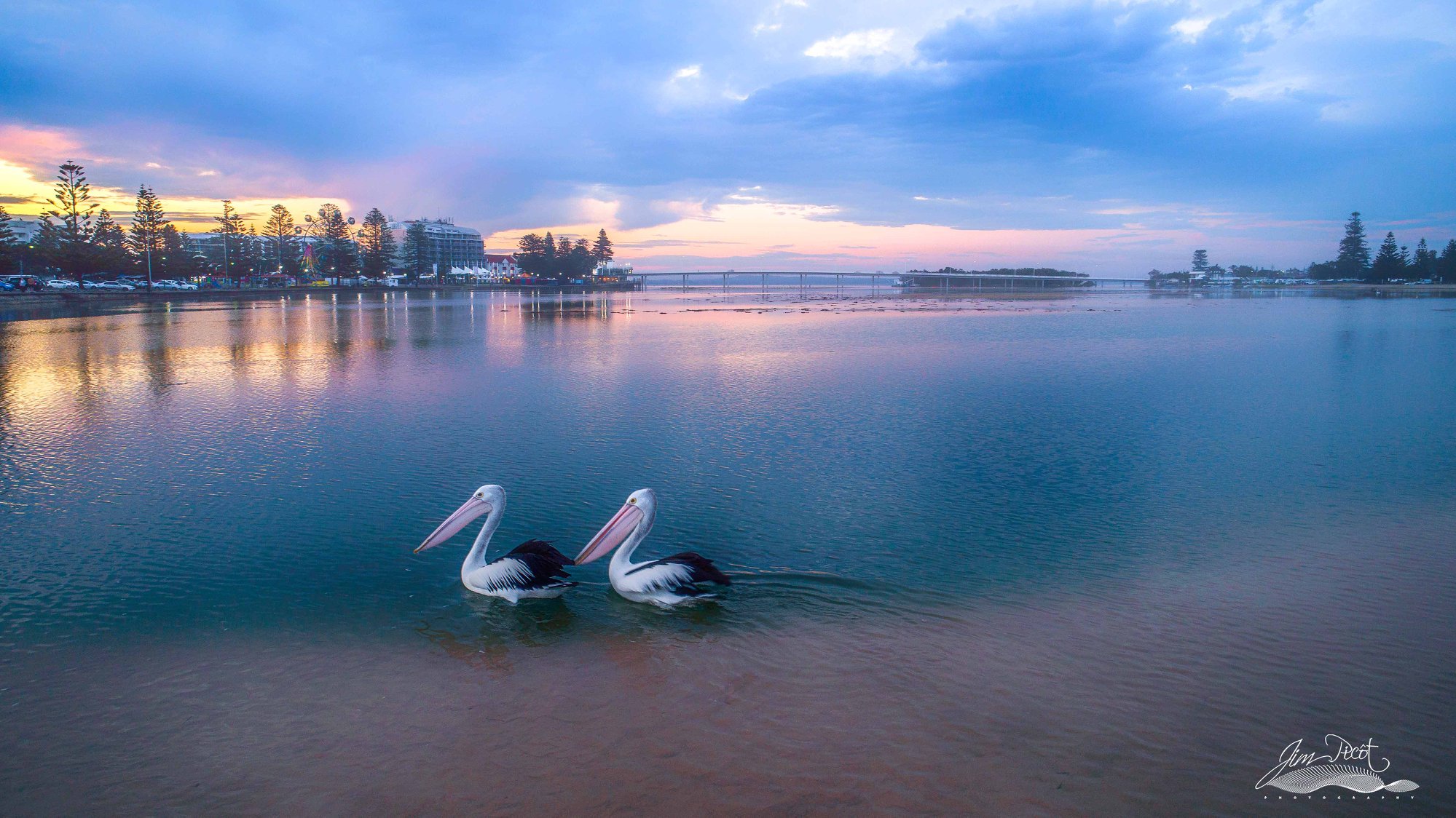 NATURES PICTURE FRAME (click to... - Gary P Hayes Photography | Facebook