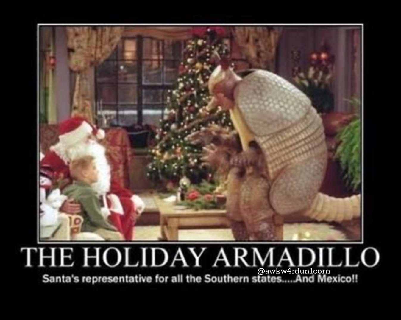 Ross's Holiday Armadillo in Friends