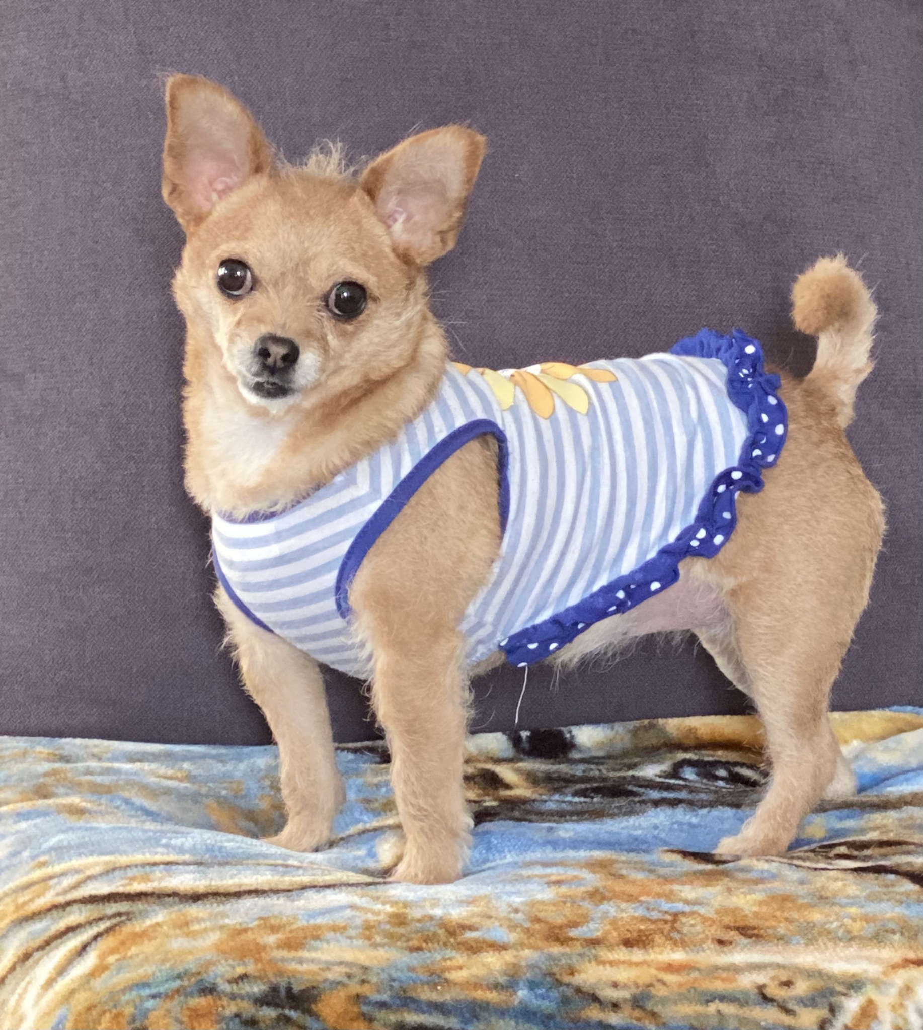 Miss Bella has some exciting news to... - Muth Holdings, LLC | Facebook