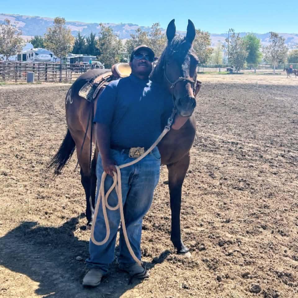 Horse questions, problems, answers, help | How have you guys fixed a ...