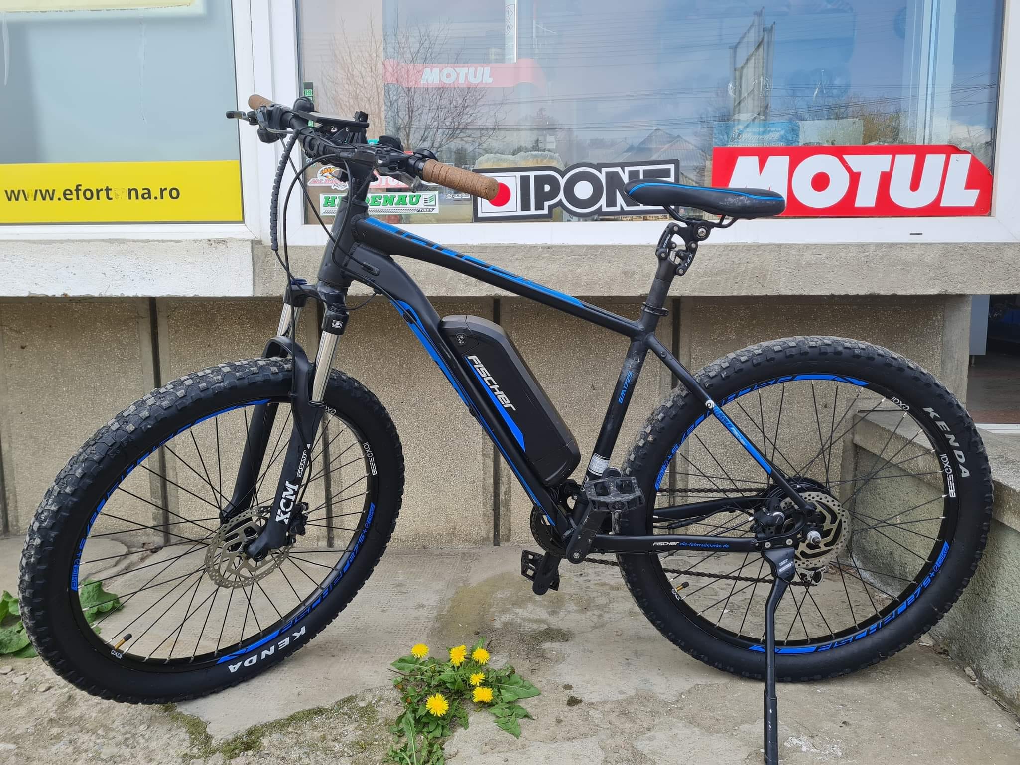 gravel folding bike Dahon Launch EX 20 Jant Katlanır Bisiklet 2026 The best roller bags Color:Mintgrün speed Drivetrain system The Size-61
