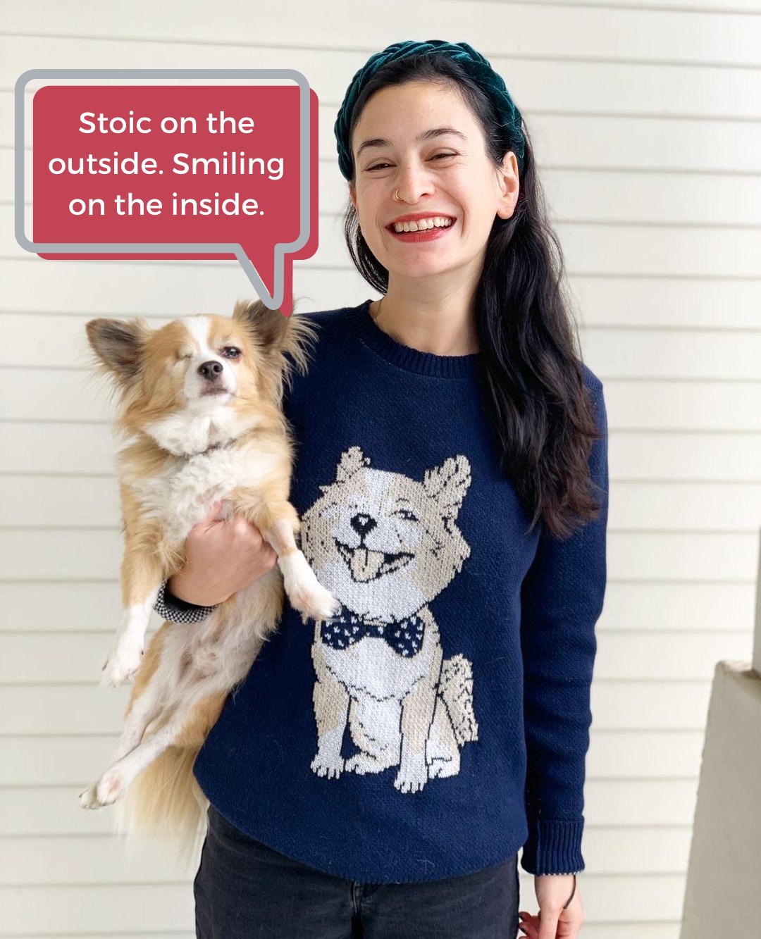 Stunning Date Sweater Choking Hazard Dogs image
