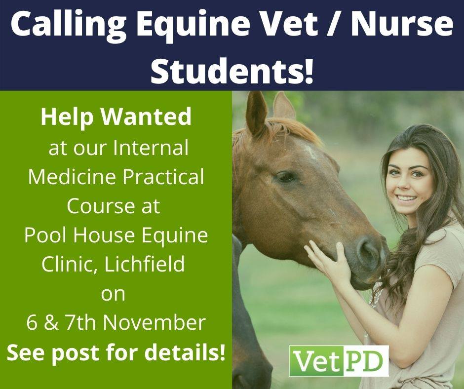 VetPD - Are you an Equine Vet Student or Equine Veterinary Nurse ...