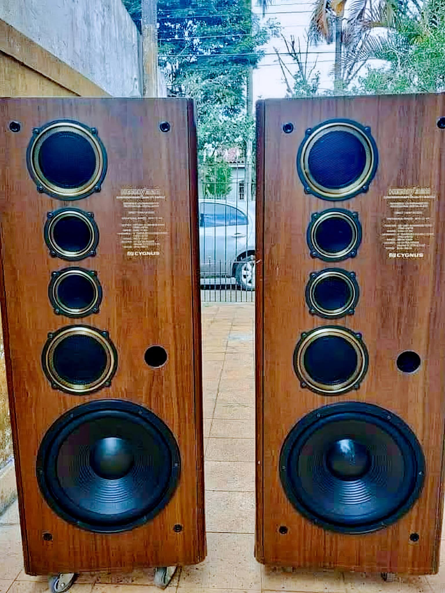 audi-filos-y-vide-filos-de-costa-rica-cygnus-heavy-320-floorstanding