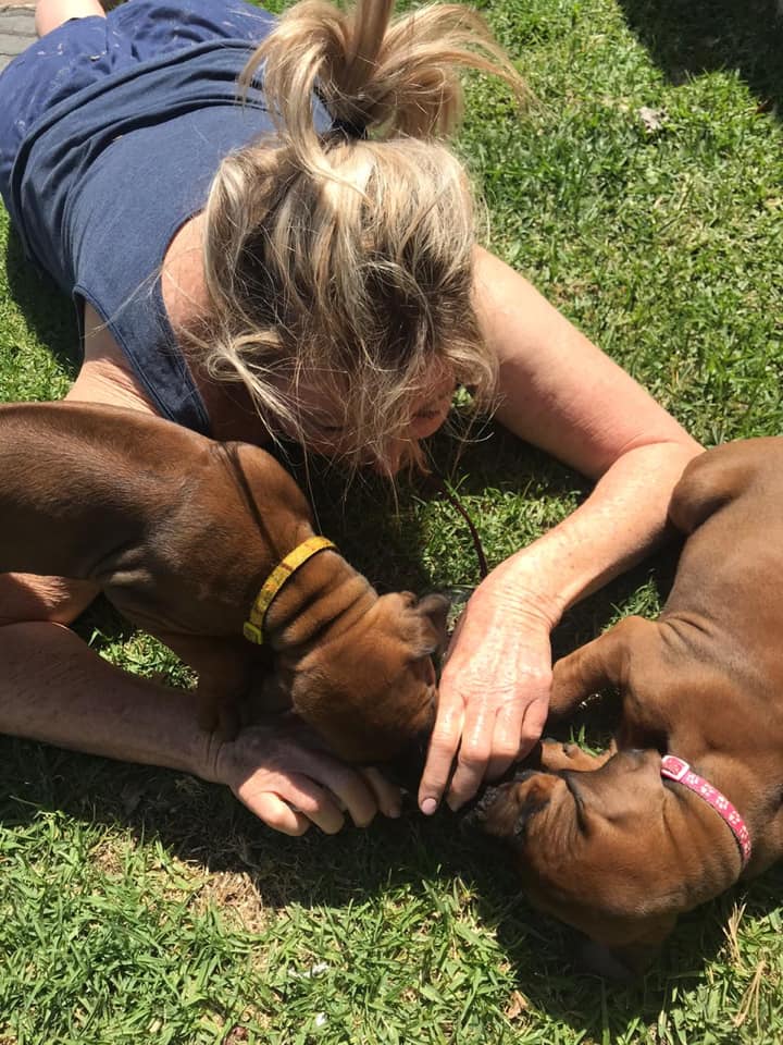 DeLeuwenjagt Rhodesian Ridgebacks | Port Elizabeth