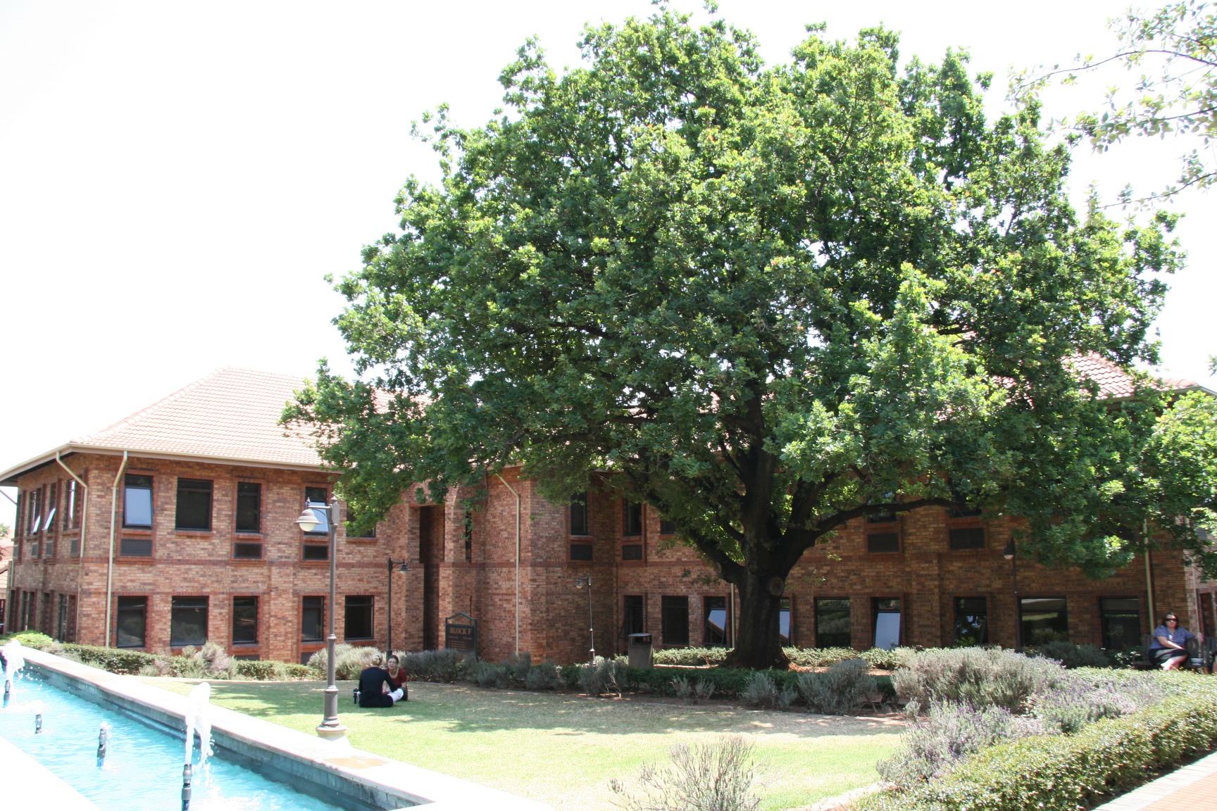 M&T Development - Waterford Court, Centurion Offices TO... | Facebook