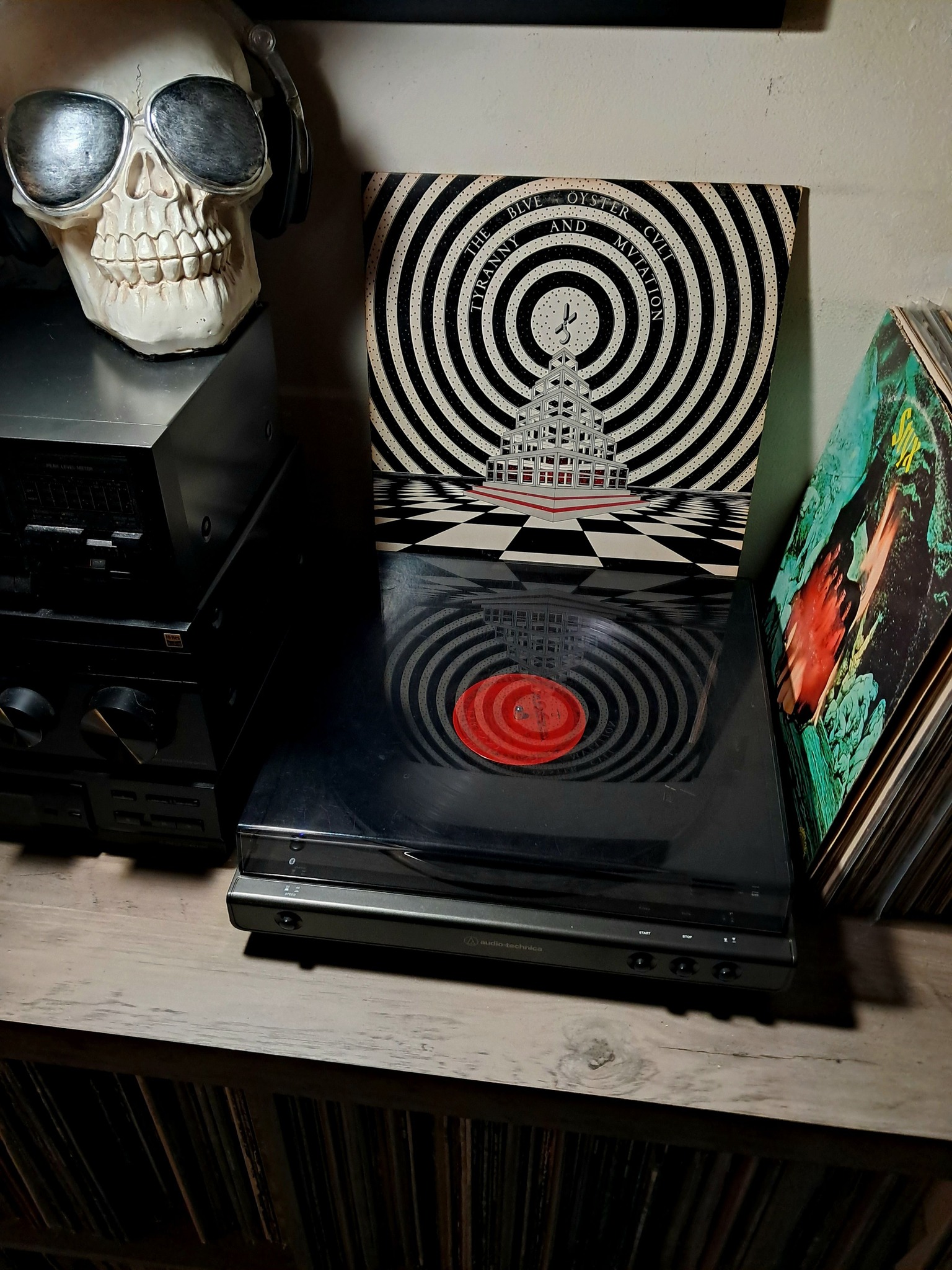 The Blue Beats' 'The Collector' on Columbia Records