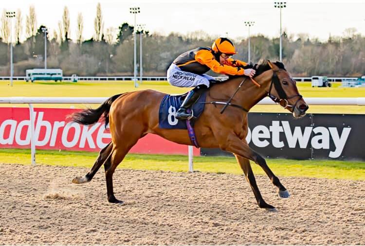 Stephen Hanlon Racing | Constable Burton