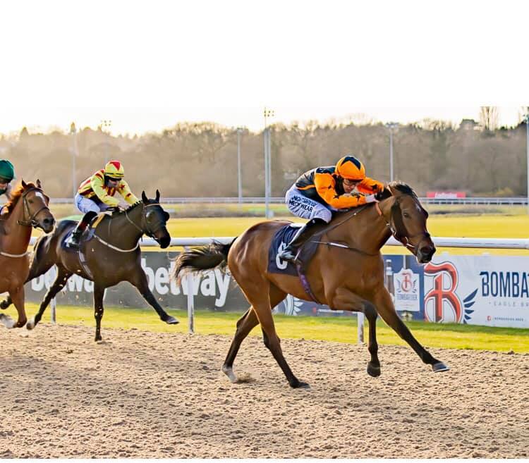 Stephen Hanlon Racing | Constable Burton