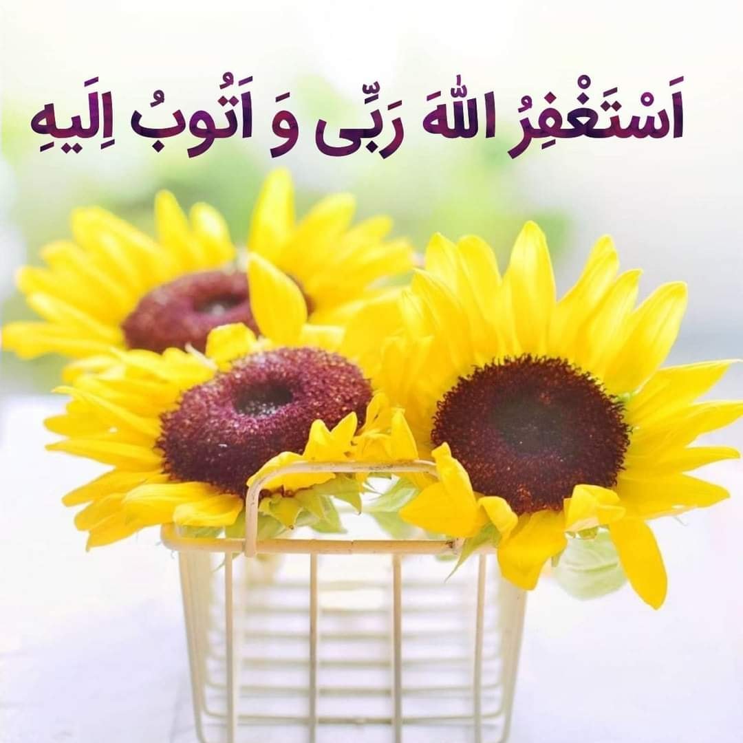 شعرونوحه - سرود ولادت مولی الموحّدین، امیر المؤمنین صل علی محمد ساقی ...