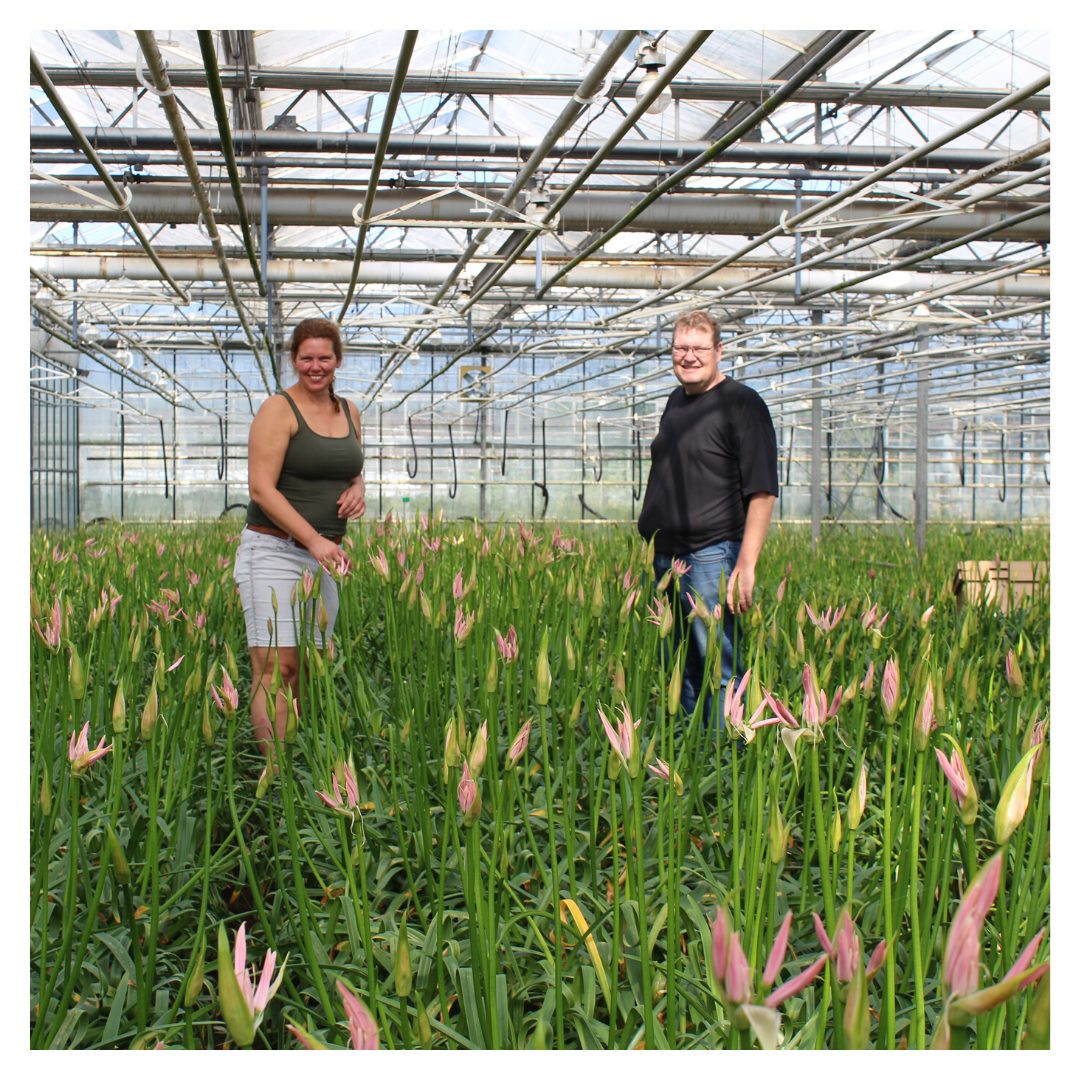 Hamifleurs Flowerexport Siaran Facebook