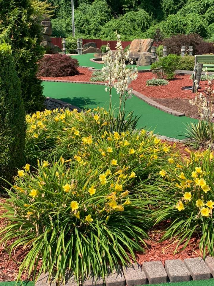 Family Funscape Inc. | Elizabeth PA