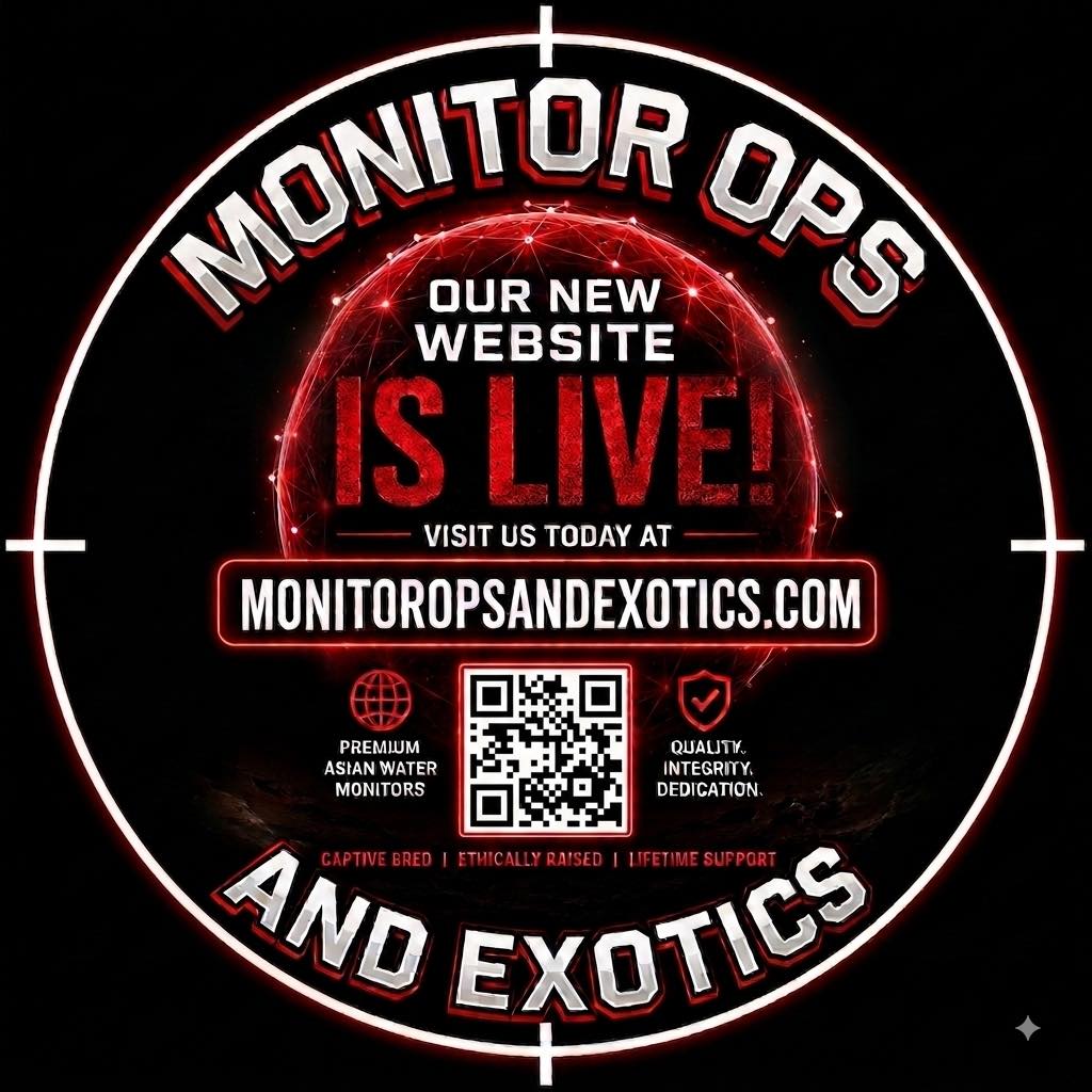 Monitor Lizards and All Things Reptiles | Throwback Thursday- show or ...