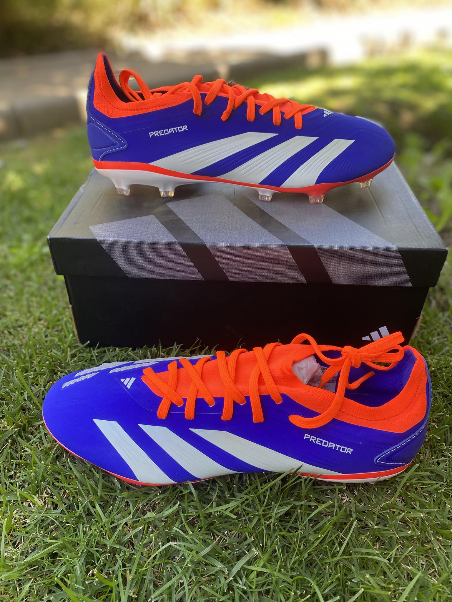Adidas Predator Pro N41 $80.000