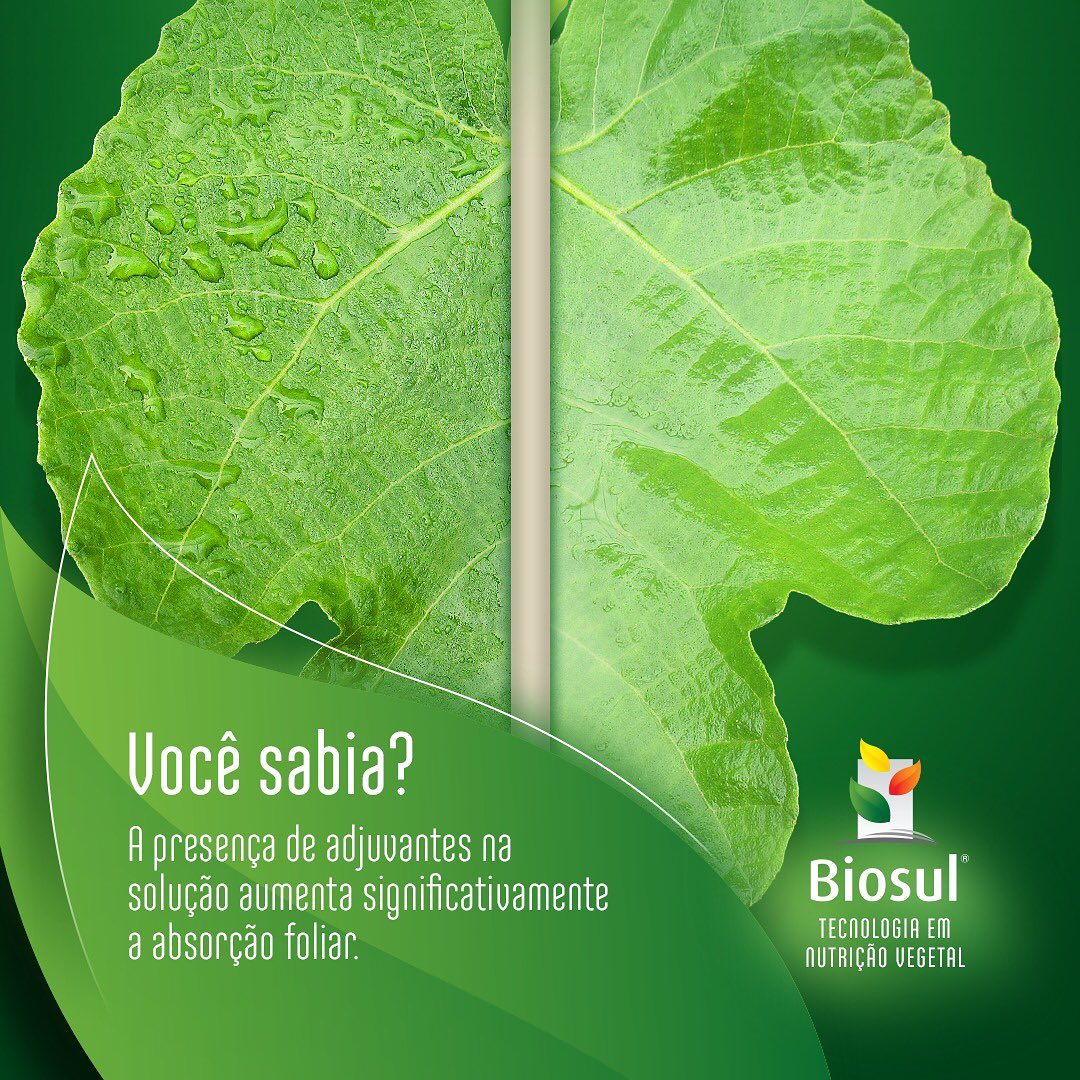 Os adjuvantes podem influenciar... - Biosul Fertilizantes