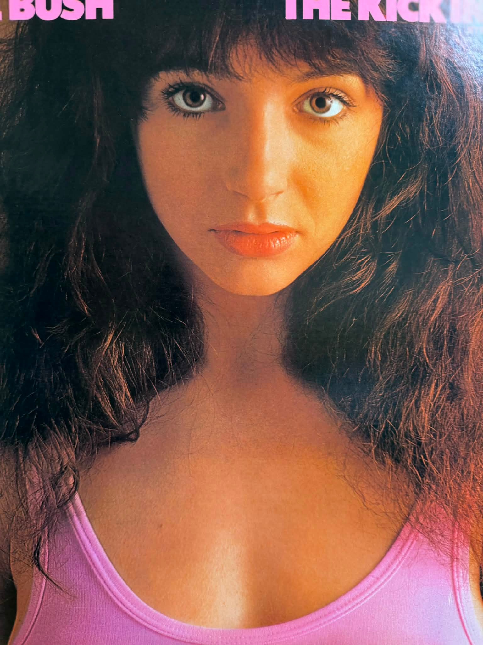 アナログ盤探索】 ケイト・ブッシュ／天使と小悪魔 KATE BUSH / THE