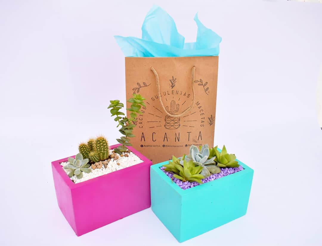 Acanta Cactus - 🆕 MODELO RECTANGULAR 🆕 . Este modelo...