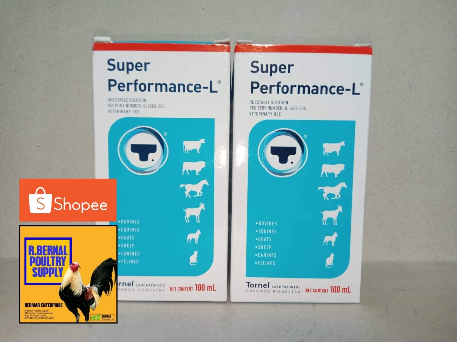 Gamevitz Singapore - Tornel SG