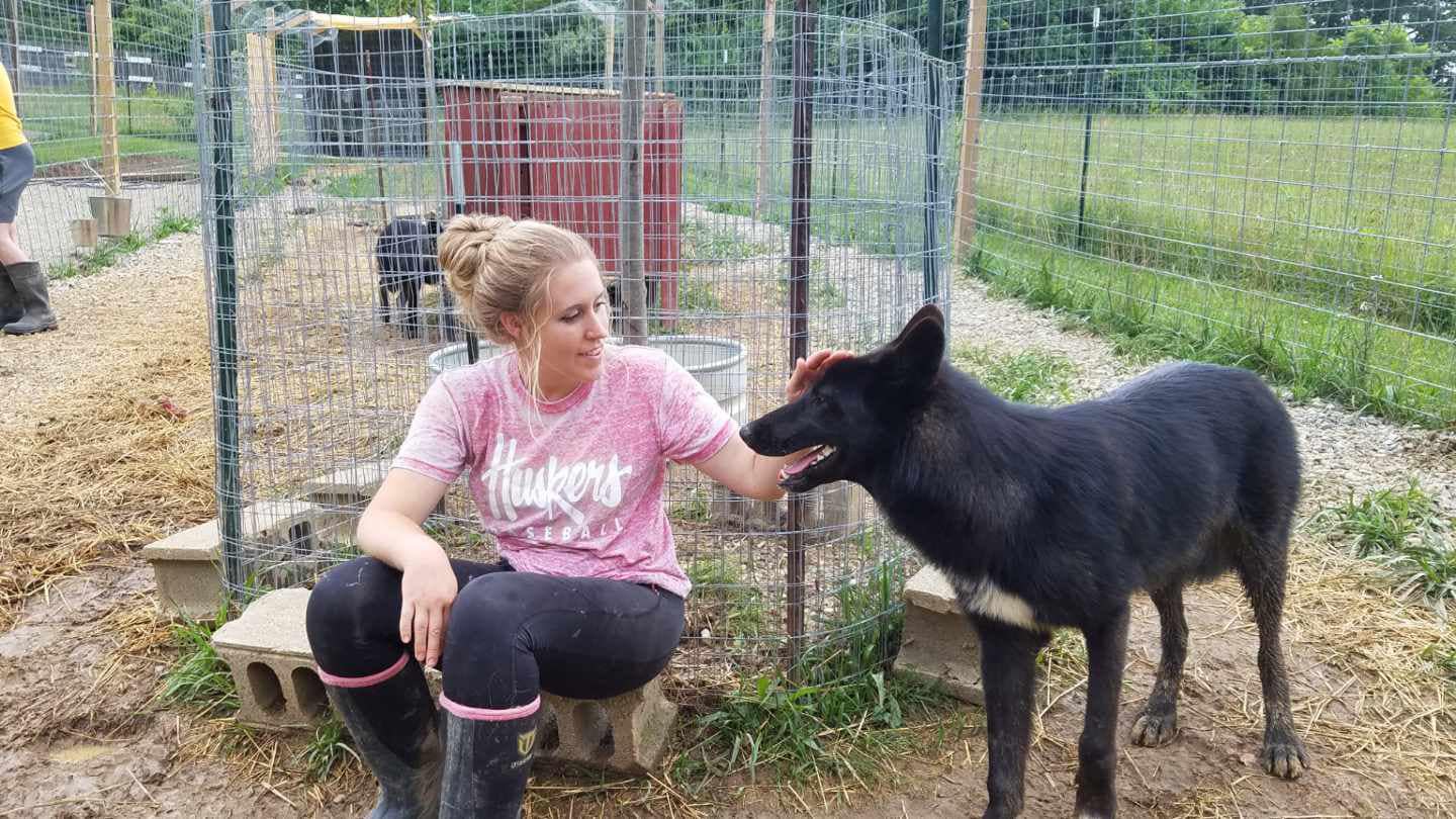 The... - Red Riding Hood Rescue Project - a wolfdog rescue | Facebook