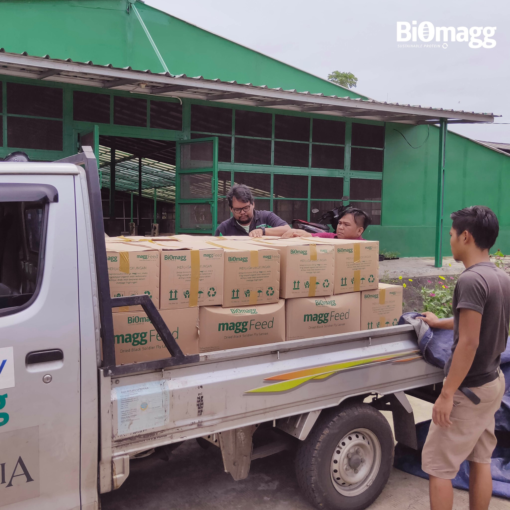 Biomagg - Sampah yang dikumpulkan dari berbagai sumber...