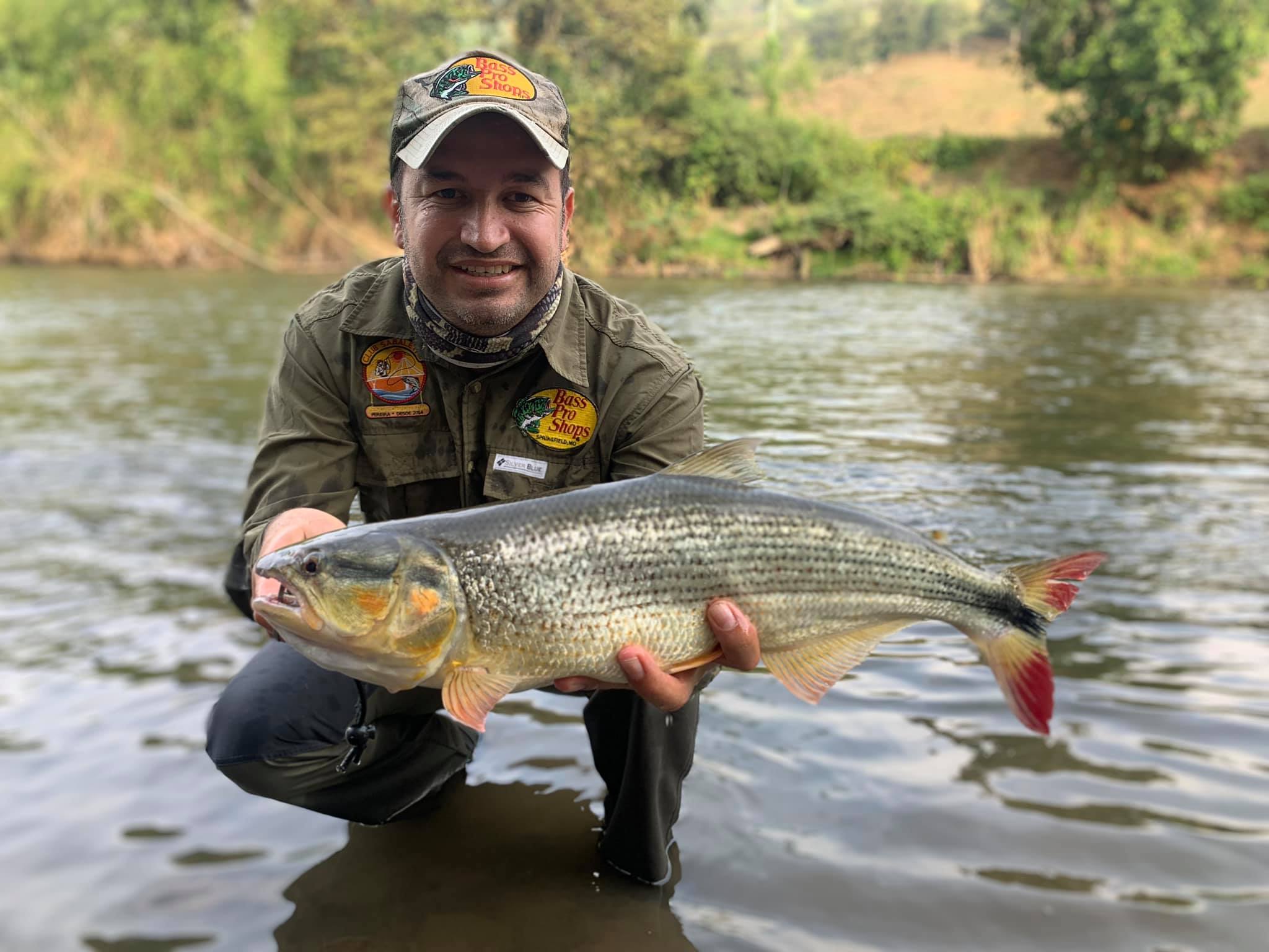 Salminus affinis más... - Edward Rengifo Fishing Tours | Facebook