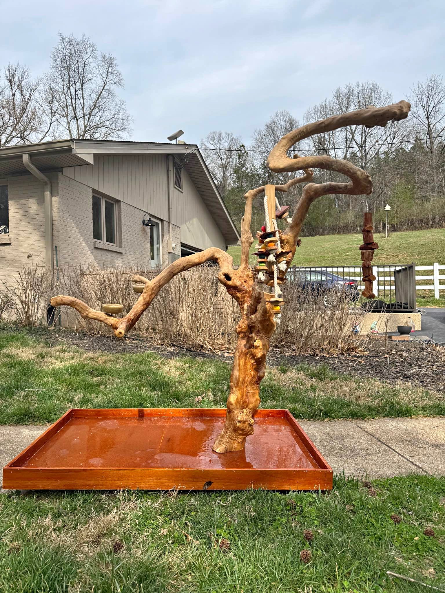 Java Tree Large Parrot Stand - Bird Perches & Playstands - Wildwood ...
