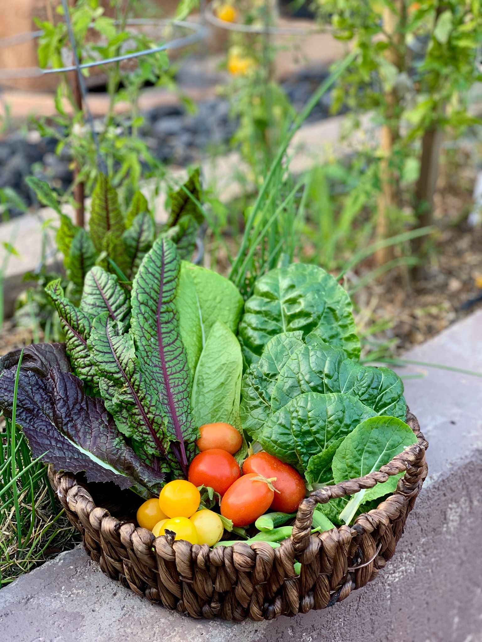 The garden grocery store... - CaliKim Garden & Home DIY | Facebook
