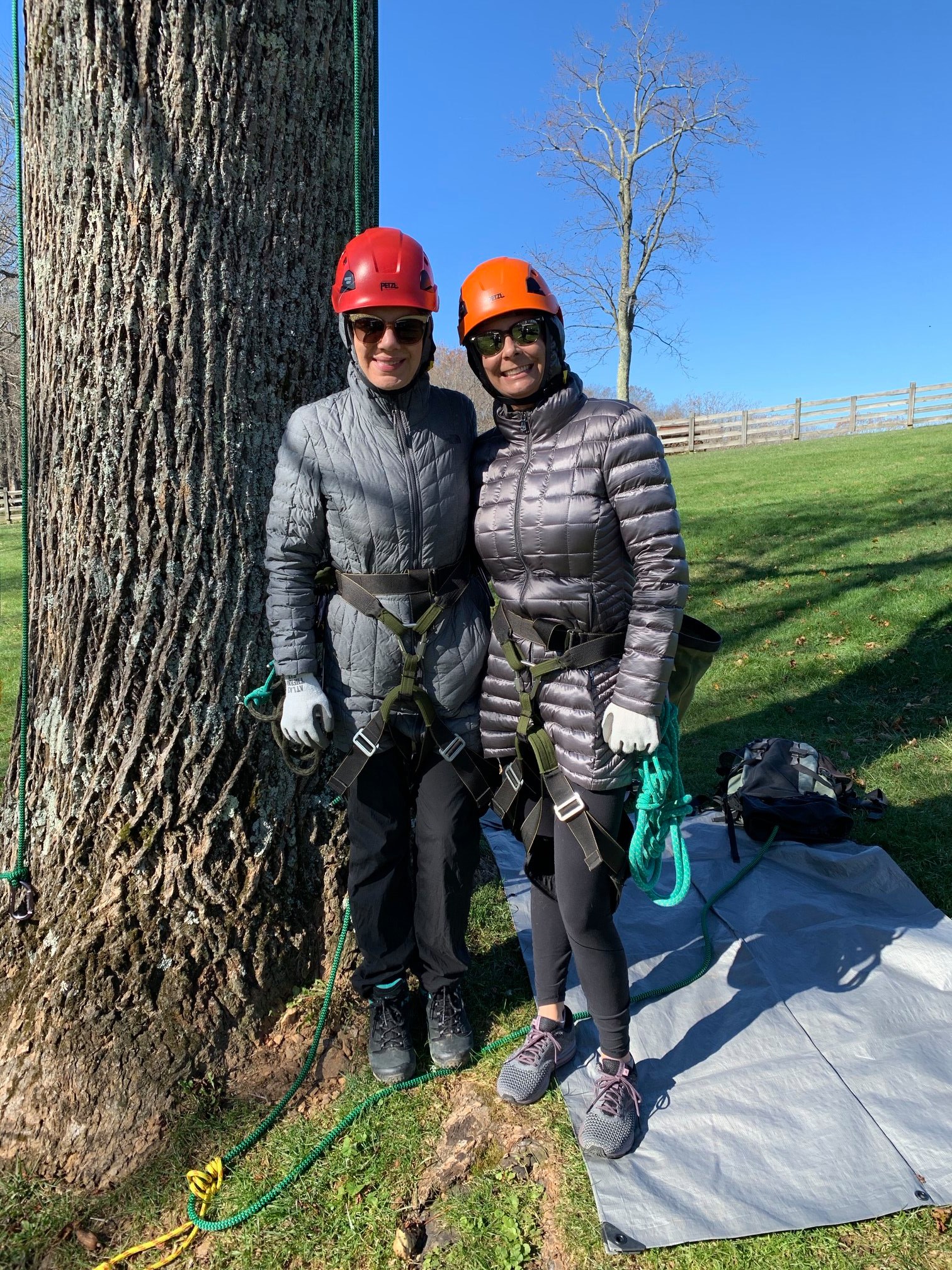 Blue Ridge Tree Climbing