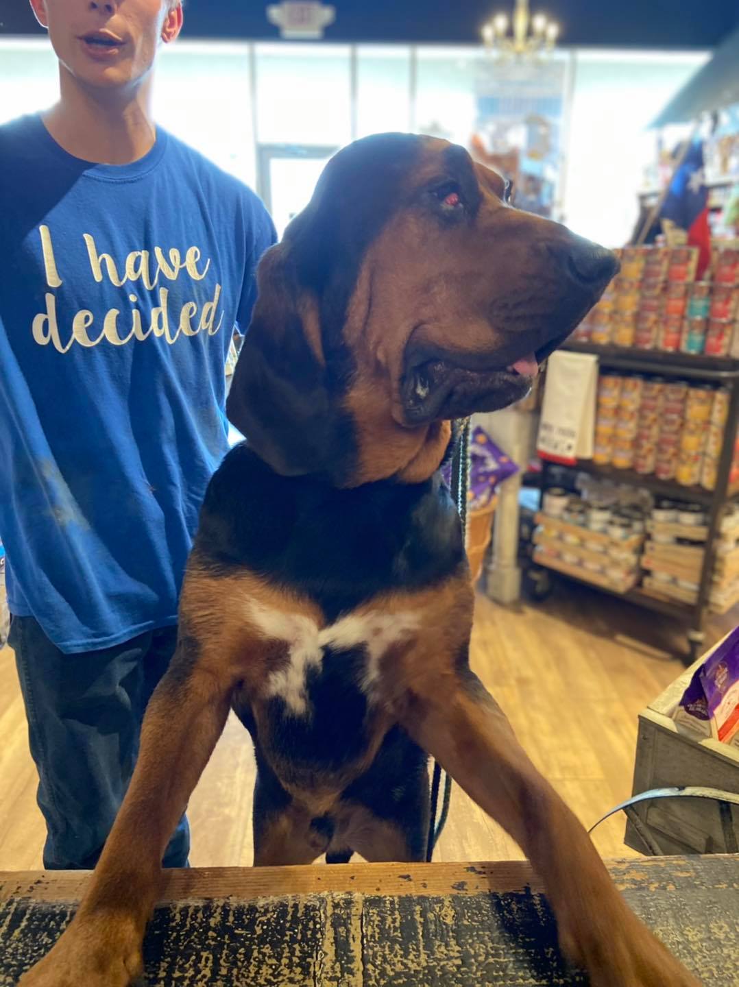 Copper bellied up to the register to... - Patsy's Pet Market