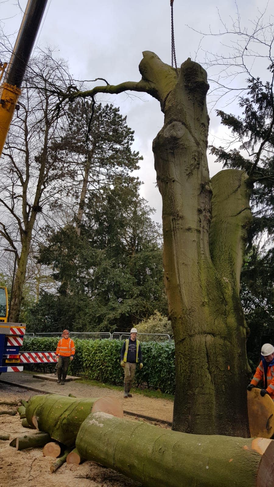 SW Tree Surgery | Lichfield