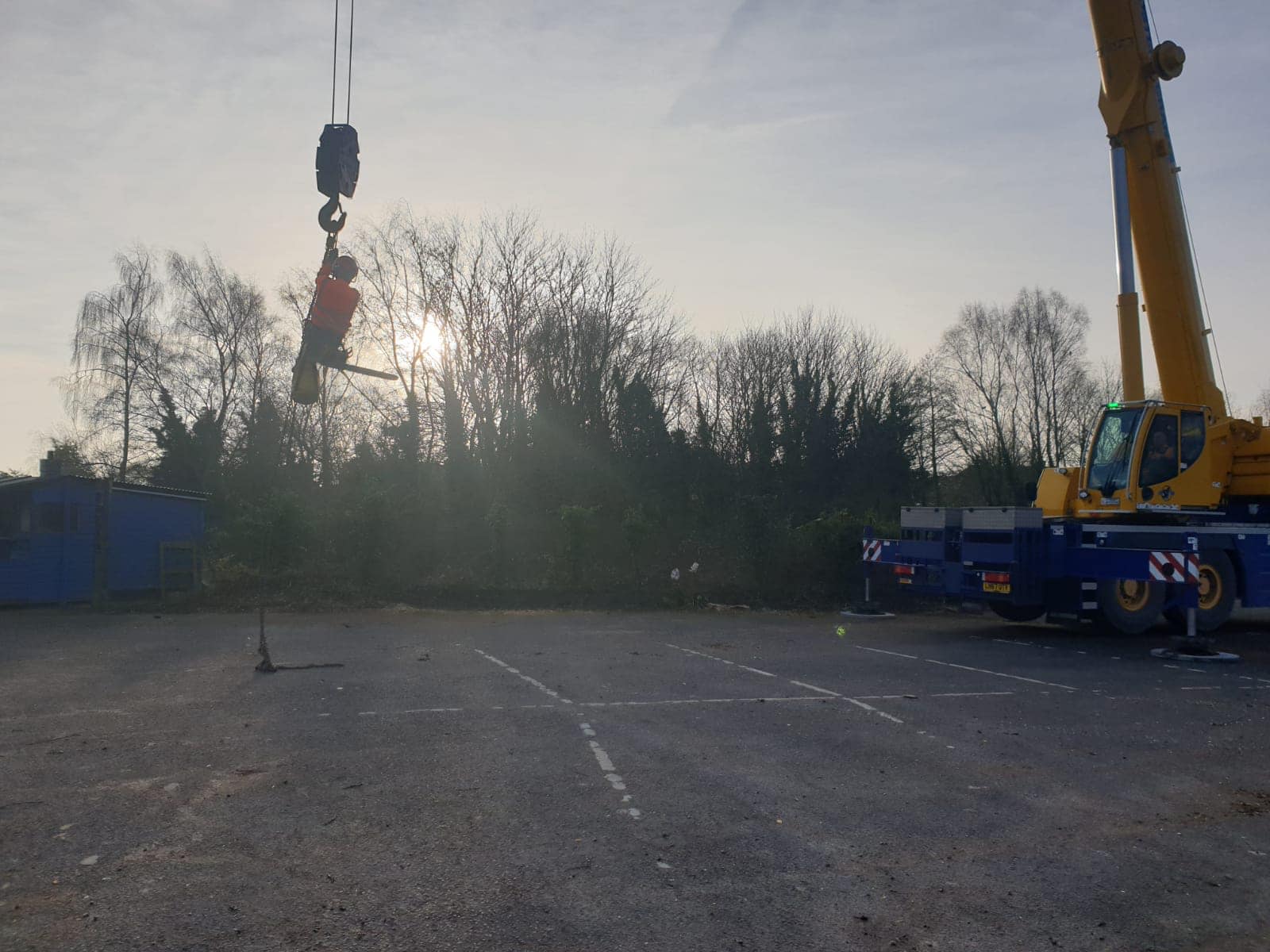 SW Tree Surgery | Lichfield