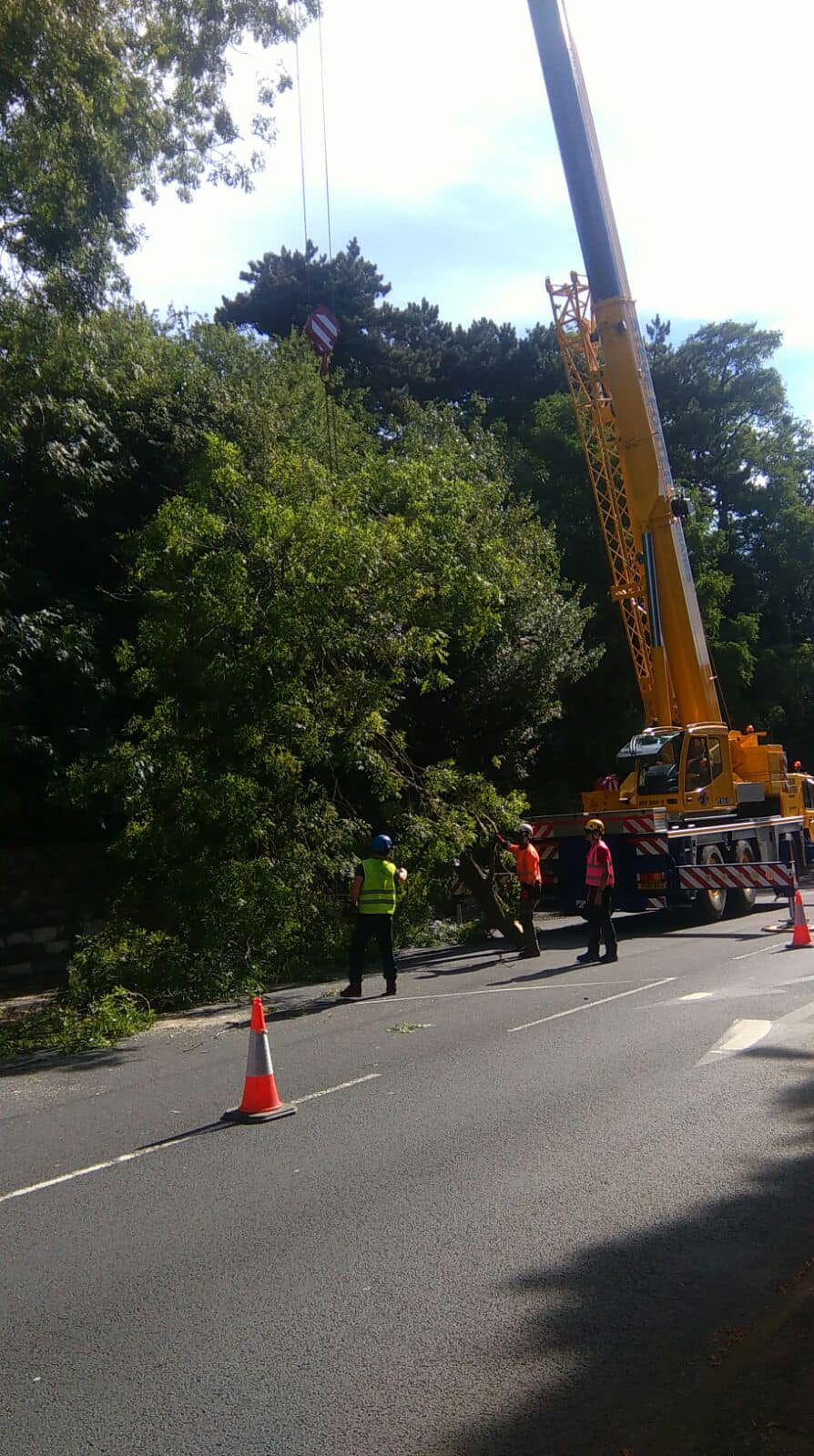 SW Tree Surgery | Lichfield