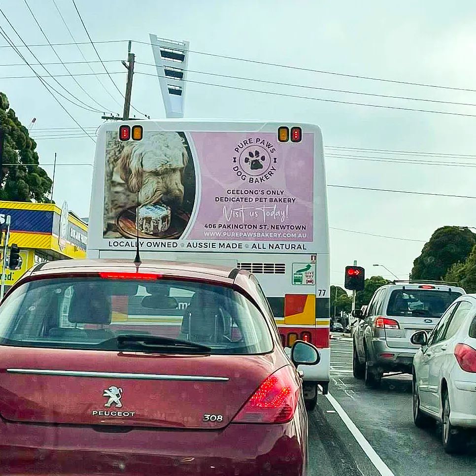 SPOTTED! Our bus ad spotted by a... - Pure Paws Dog Bakery