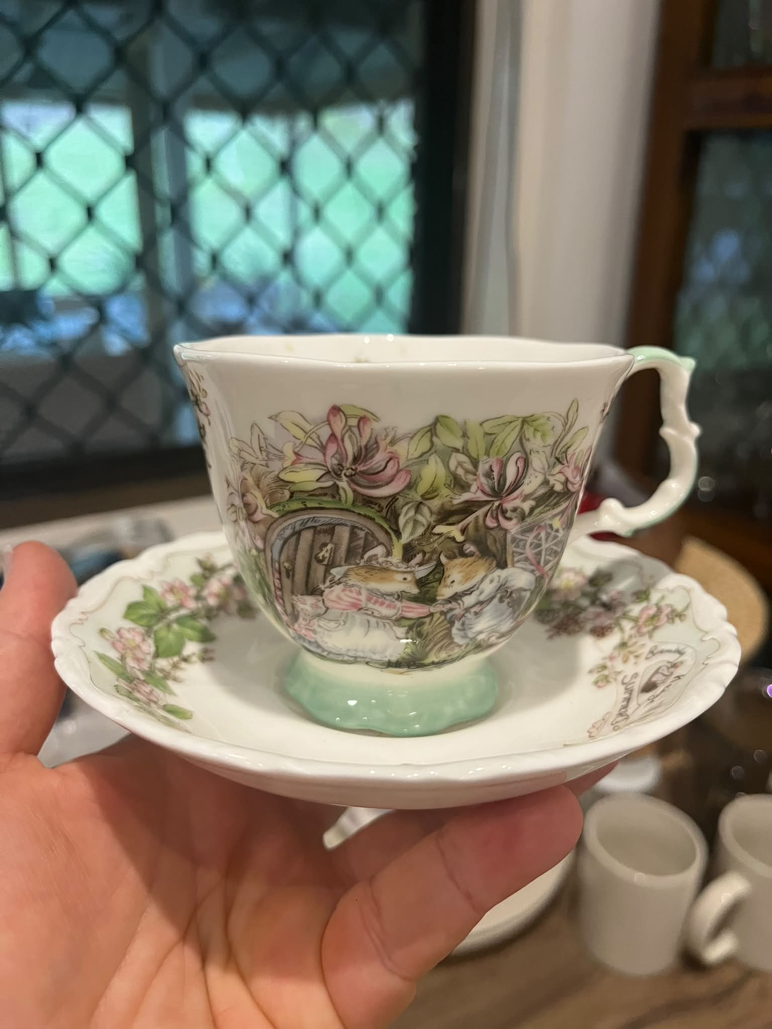 Gorgeous Brambly Hedge tea cup and saucer found at Lifeline Pimpama!