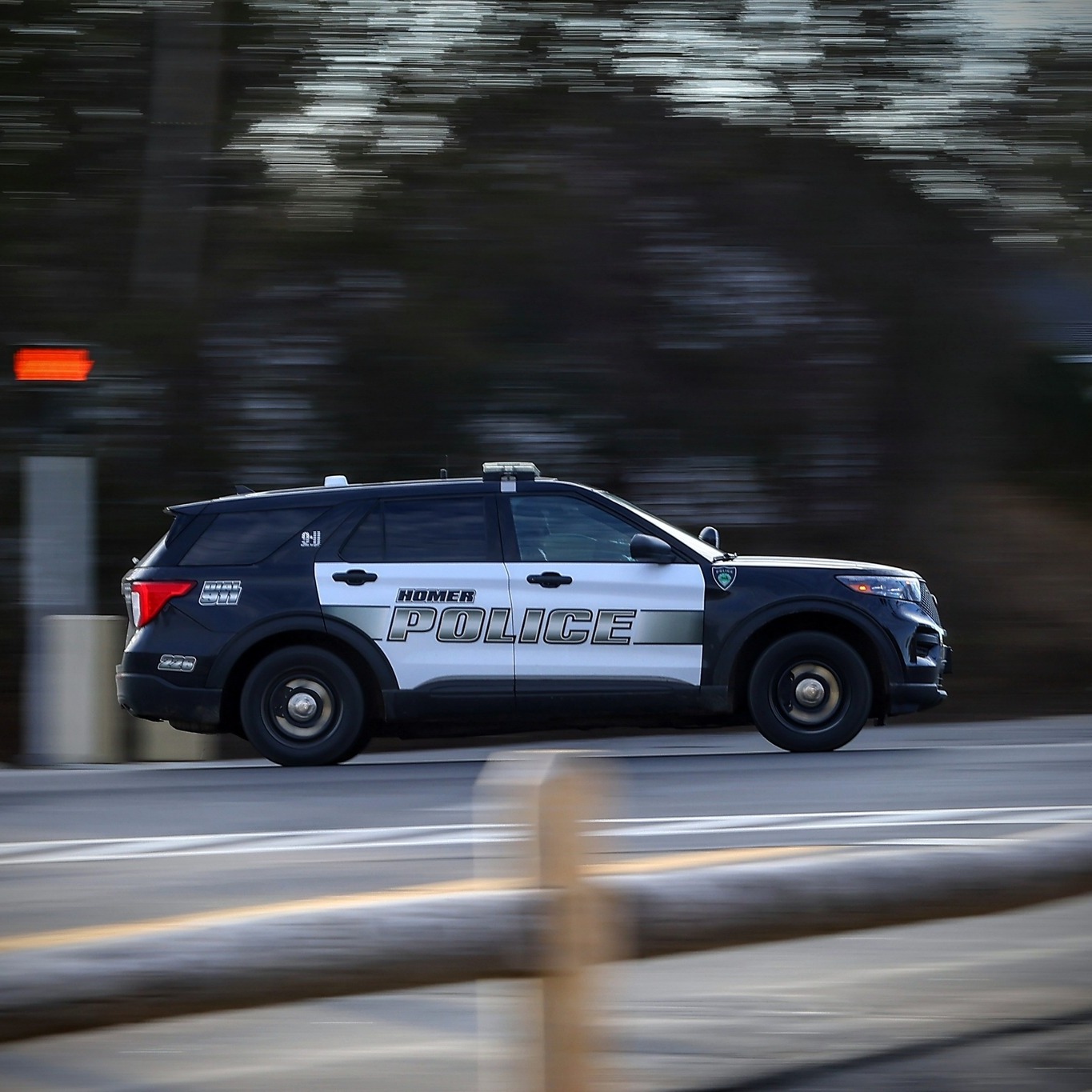 Defendant: Ruiz, Anthony M.... - Homer Police Department | Facebook