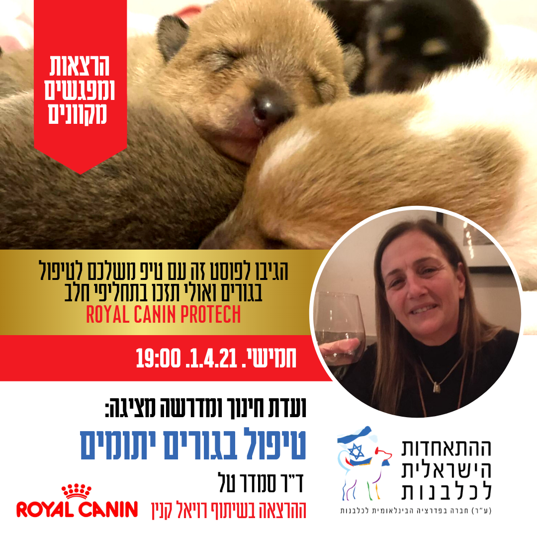 וועדת חינוך... - ההתאחדות הישראלית לכלבנות Israel Kennel Club | Facebook