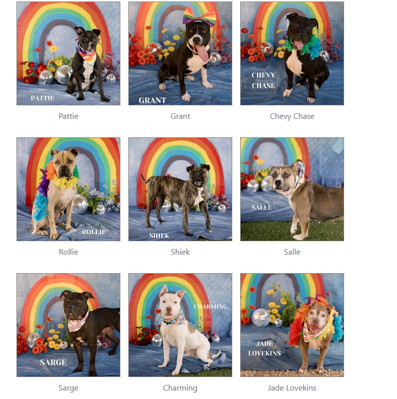 2:30 pm Saturday 6/14: I wouldn't expect any extensions as kennels