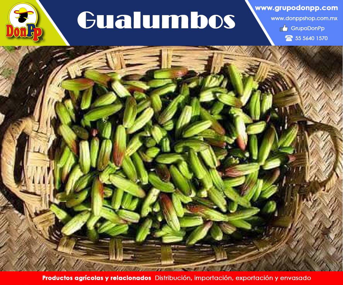 Grupo Don Pp - Los gualumbos o quiotes, también conocidas...