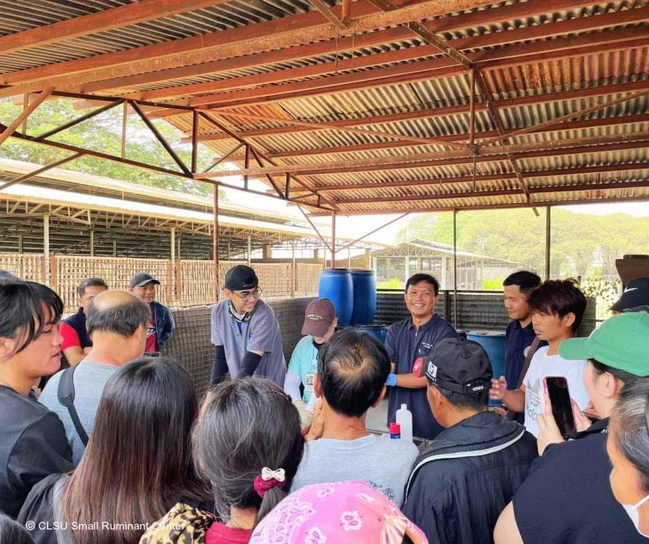 IN PHOTOS | Around 120... - CLSU Small Ruminant Center