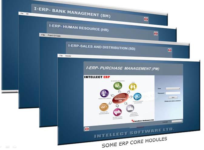 Intellect ERP