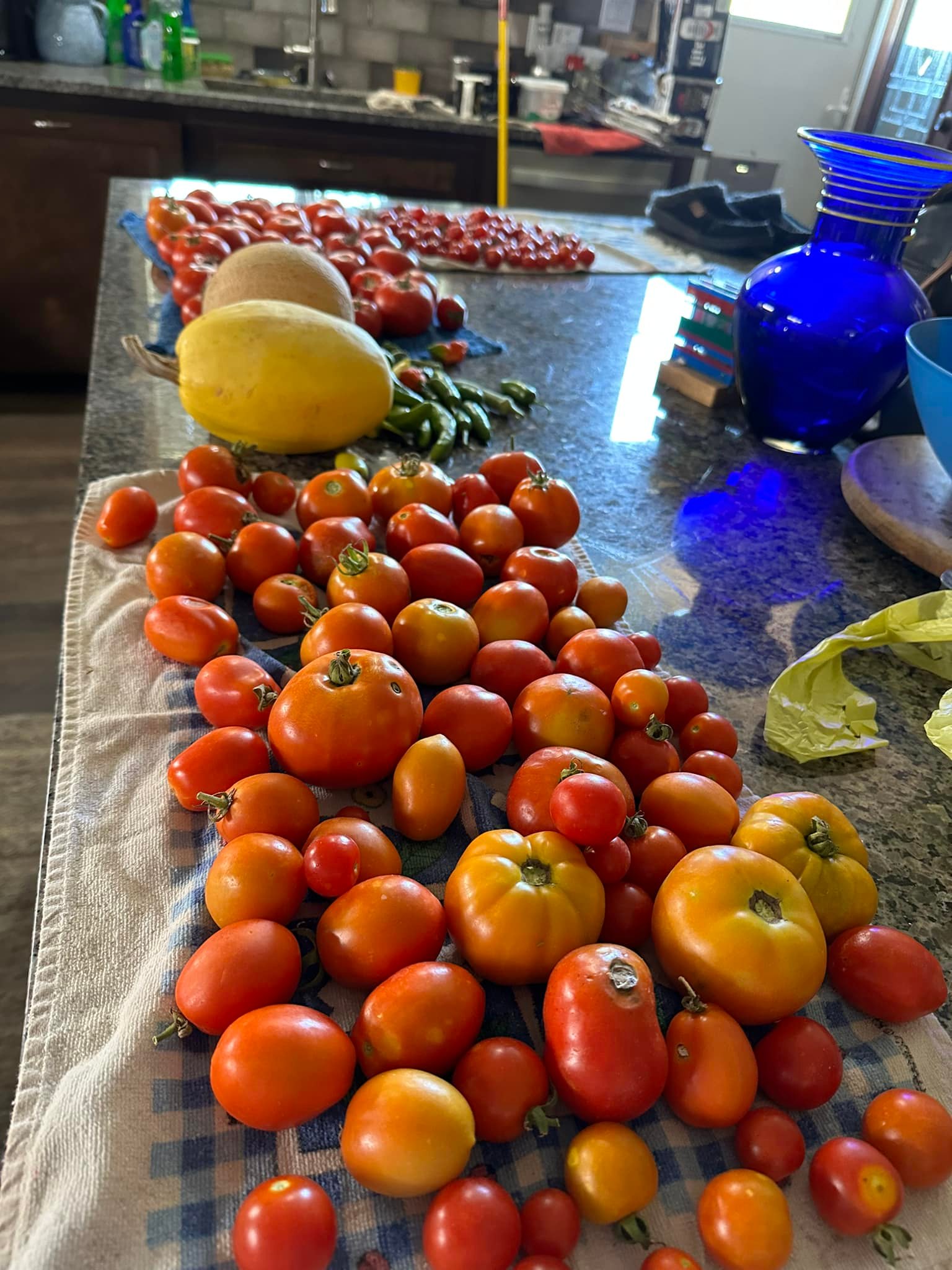 The Moon Ranch - Sleepy puppies and some tomatoes and peppers | Facebook