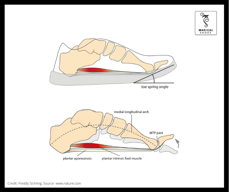 Magical - | TOE SPRING EFFECT | Scientists from University at Buffalo ...