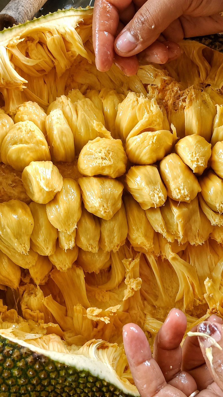沖縄産Cempedak Chempedak fruit with thick flesh