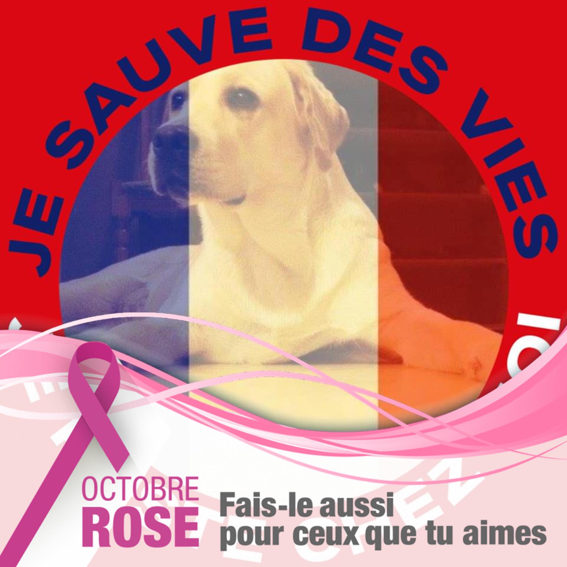 Rene Labbe