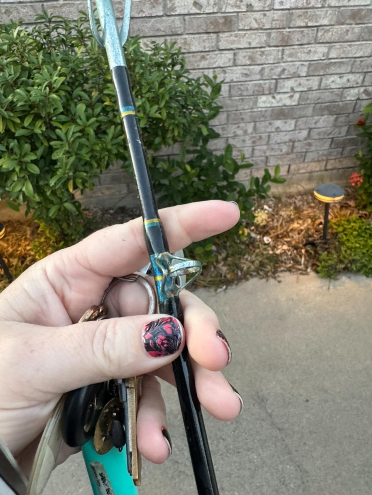 shimano 3 x big baitrunner xt-a longcast carp reels Reel XTB : Sports & Outdoors Model:ABF-1000 XLS News - Made in