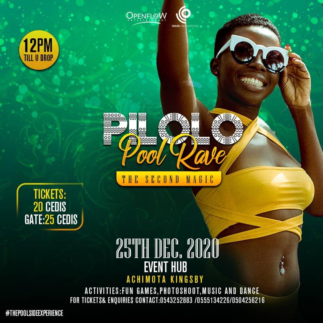 Pilollo Pool Rave2.0