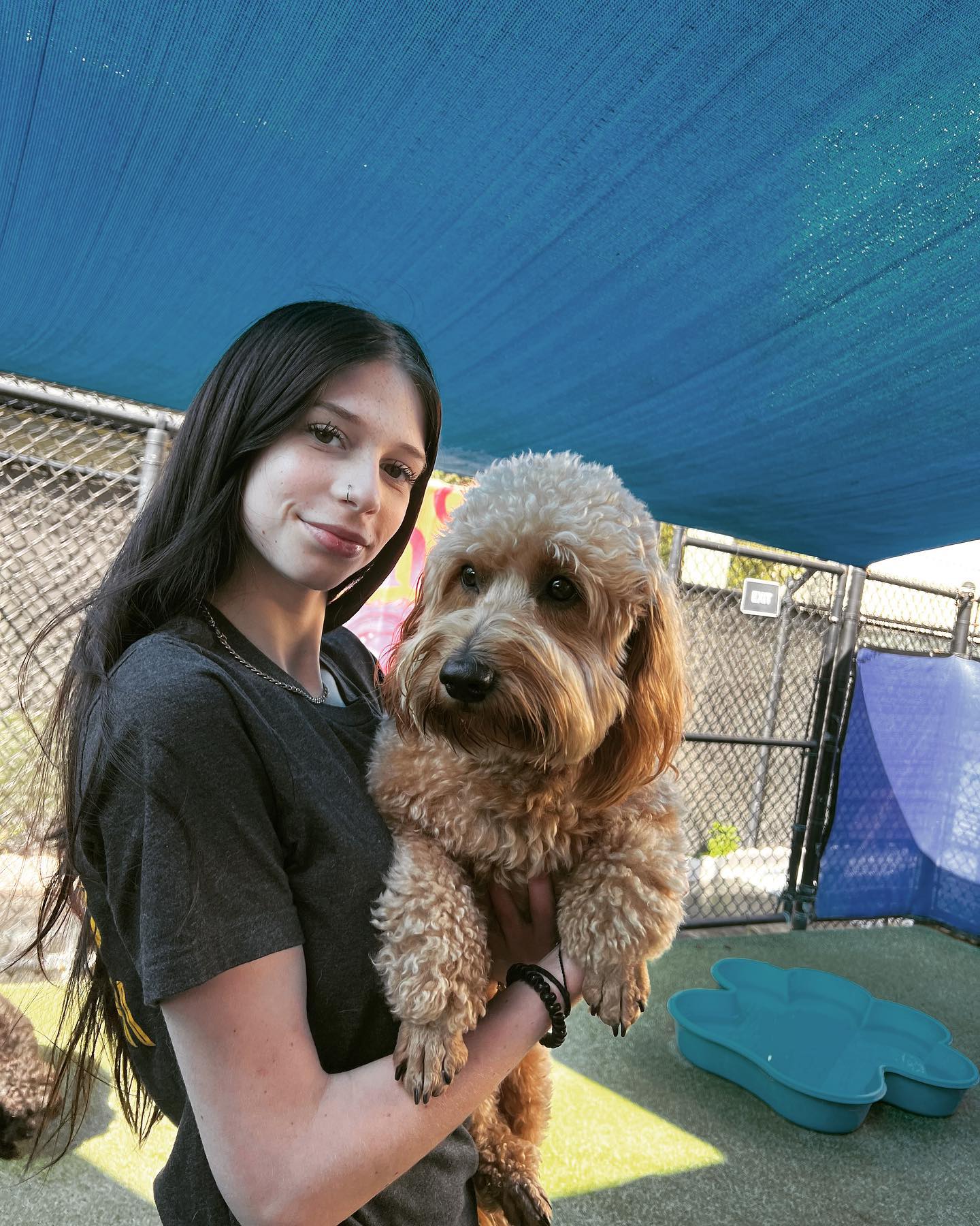 Presley loves the cuddles and the... - Beaches Jet Set Pets | Facebook