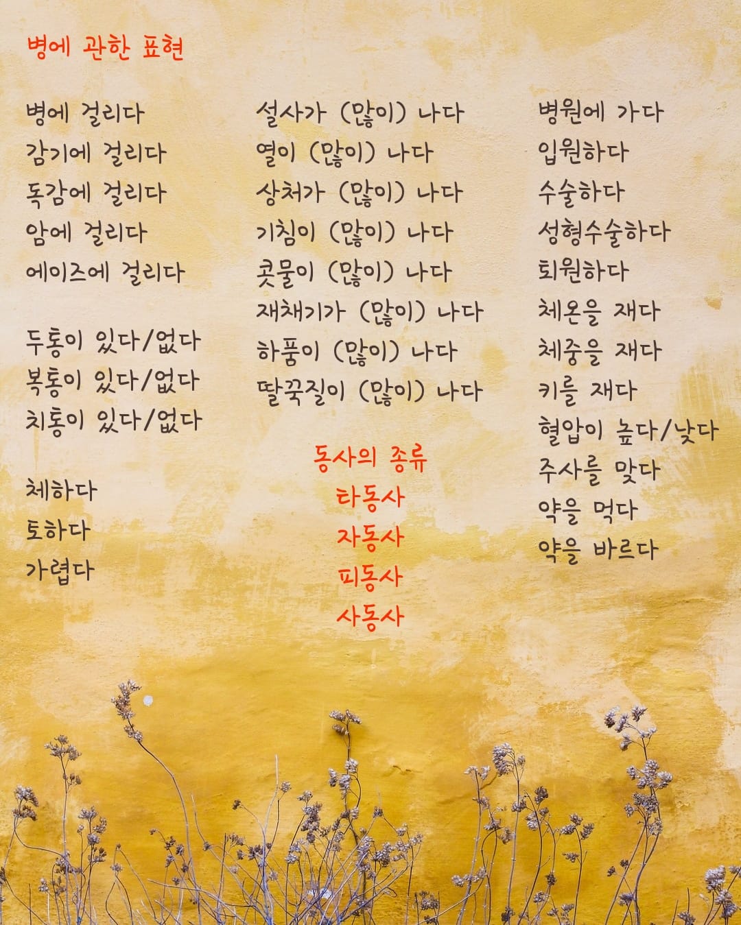 金老師的韓國語 - 벌써 수요일이에요,시간이 참 빠르네요 今天已经礼拜三，时间很快哦 오늘은 동사의 종류와... | Facebook