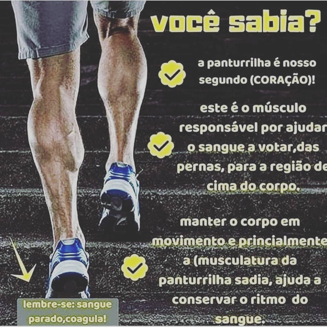 Academia Forma Fisica A Panturrilha Tambem Conhecida Como Batata Da Perna Alem De Ser Um Musculo Que Auxilia Constantemente Na Caminhada Postura E Equilibrio Do Corpo Tem A Importante Funcao De