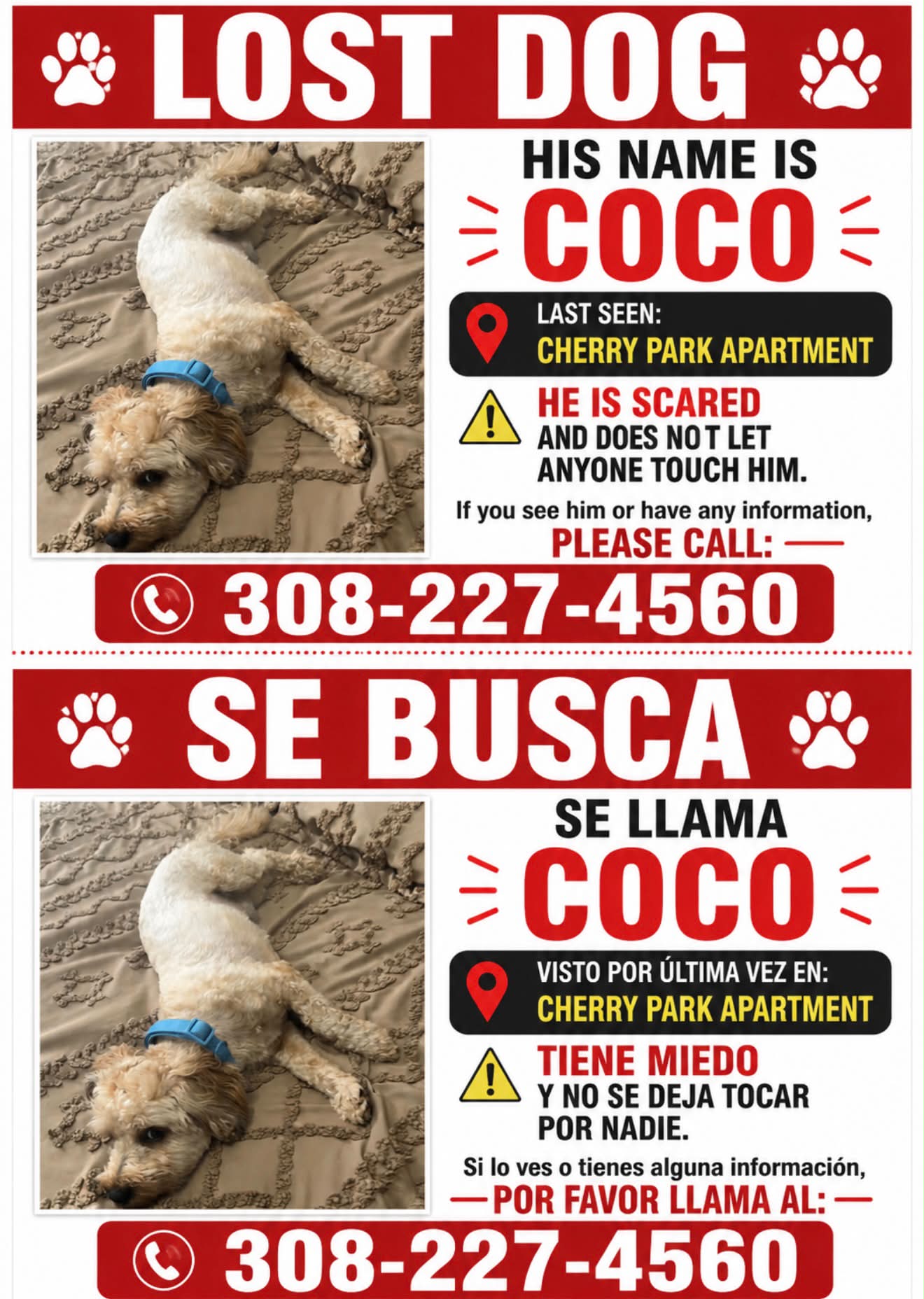 LOST DOG ⚠️⚠️⚠️⚠️⚠️⚠️⚠️⚠️⚠️